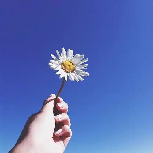 治愈系的头像小清新亚马