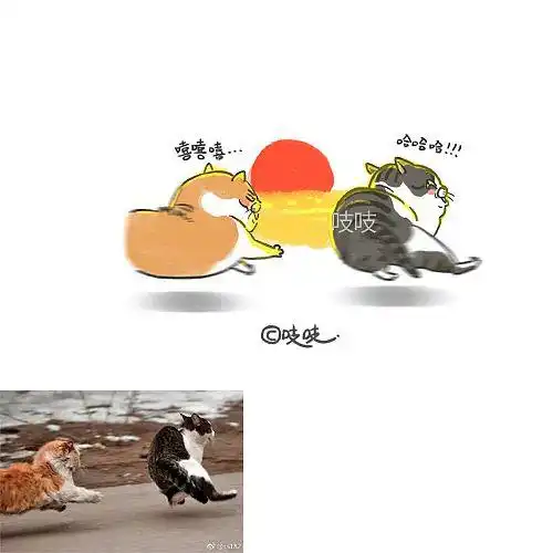 每十个艺术家里就有一个人是猫奴