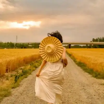 2023简单干净好看头像