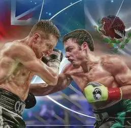 小查维兹与弗洛奇的比赛是错误的图文