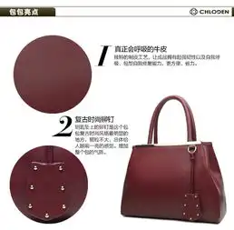 chloden蔻丹裴多菲系列欧美时尚通勤ol复古牛皮提挎包11120342