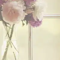 头像花系列头像