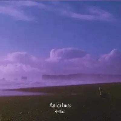 紫色系背景图谁要嘞