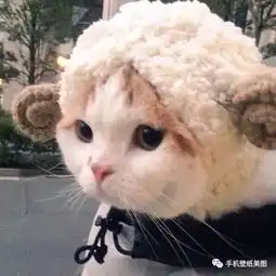 个性网头像控,换个头像,换个心情