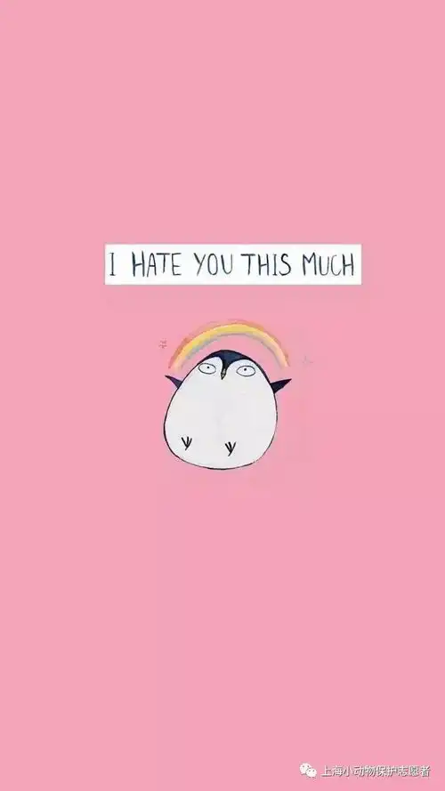 上海领养日常领养贴10.6