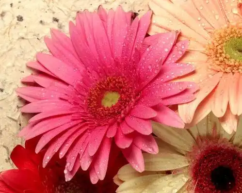 2021年3月4日财运变好,运势会格外旺盛,生活呈现出喜人局面十二生肖排行榜