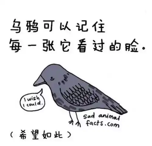 读完这些冷知识,你的体表温度会降低5