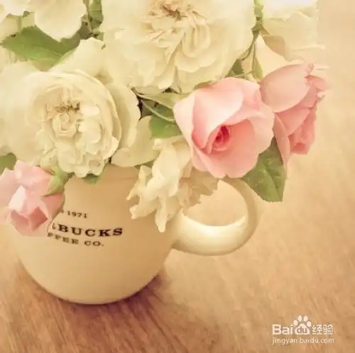 疾病的根源诱发风湿的原因有哪些