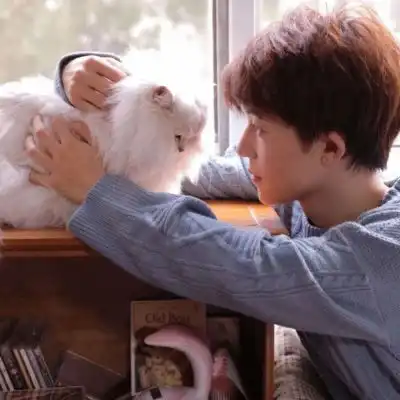 成熟情侣头像气质稳重成熟一点的男女情侣头像