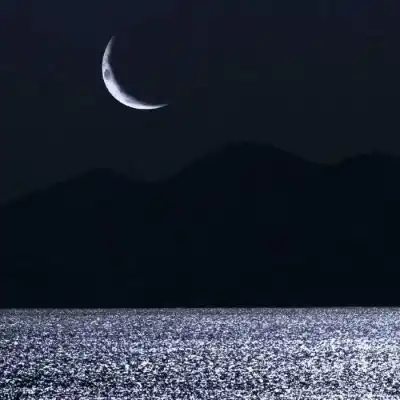 陈情丧系背景图我一直爱你不需风景静物头像我要个性网
