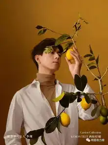 快讯蔡徐坤看展李现新代言迪丽热巴活动王源封面