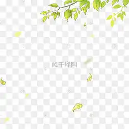 风吹树叶图片风吹树叶图片素材免费下载千库网