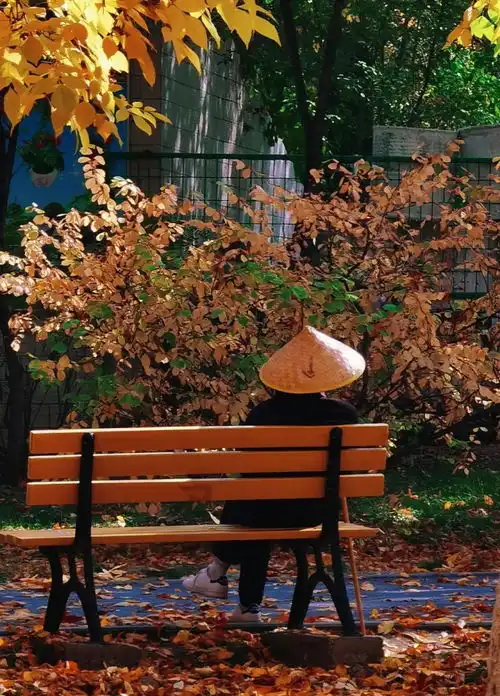 秋日限定美景上线快来这里拍一组氛围感大片