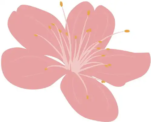 玩转系列丨武汉的樱花开了,春天还会远吗