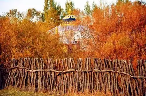 小清新头像风景系秋日