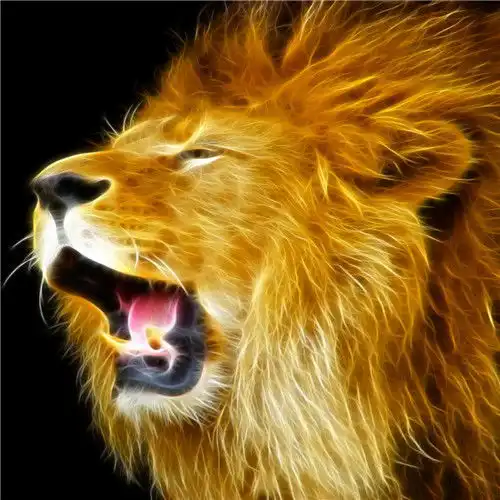 微信头像狮子图片大全,冷酷霸气的雄狮微信头像