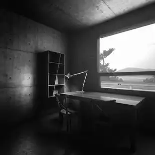 在浏览国外建筑图片时感觉他们是不是大量用了厚楼板,连墙体都是现浇的