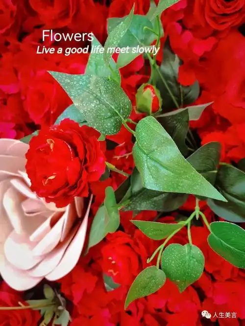 很暖很治愈的短句子,干干净净的治愈系文案