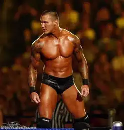 橙色系男头像图片大全摔