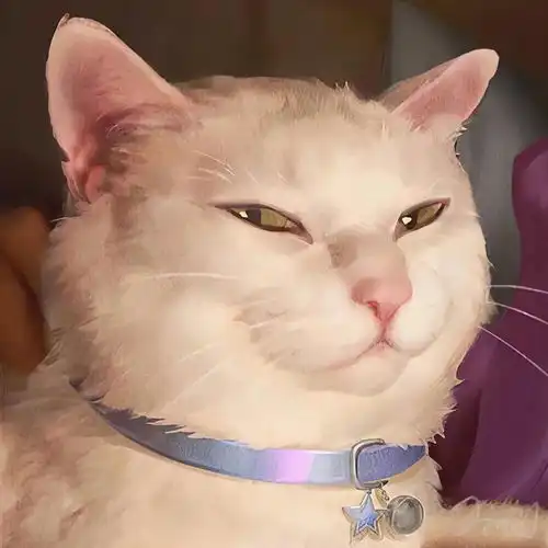 头像一半是人,一半不是人