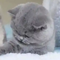 最近火了不像情侣头像,和对象换上后,老师只能当个睁眼瞎了