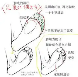 推荐大腿应该怎么画超详细教你如何绘画人物的腿部和足部
