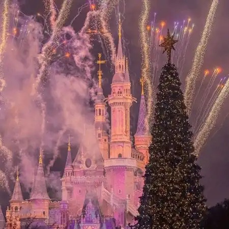 迪士尼城堡微信背景图烟花往后的日子都充满希望