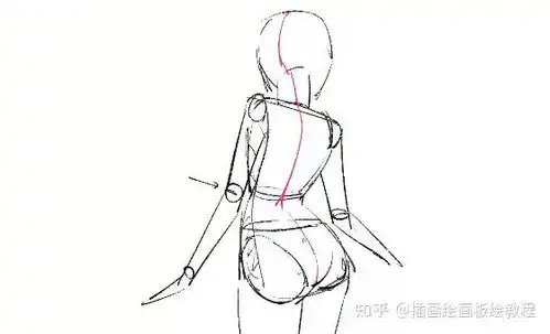 动漫人物后背怎么画你不知道的全新人物背部画法教程