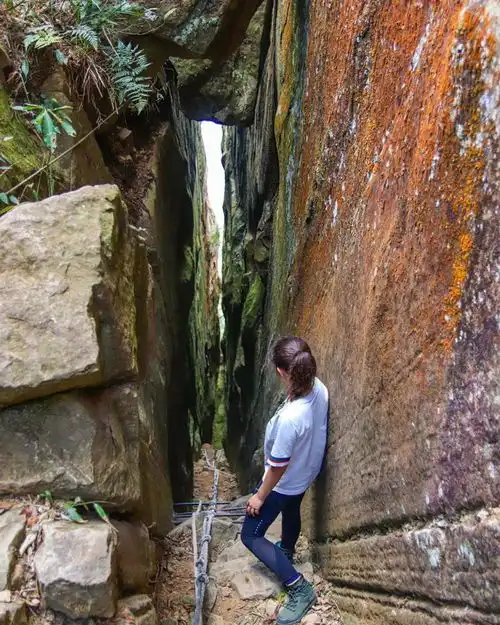 2020台南自然系美景大补帖,放慢脚步走景点