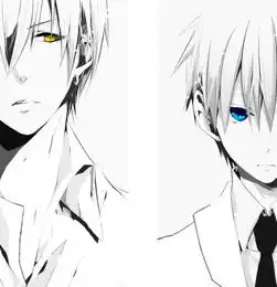 一个灰白头发黄眼睛的男生的动漫头像有没有另一半就是这图左边的那个图片,