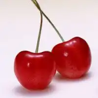 水果微信头像图片大全微信头像图片大全