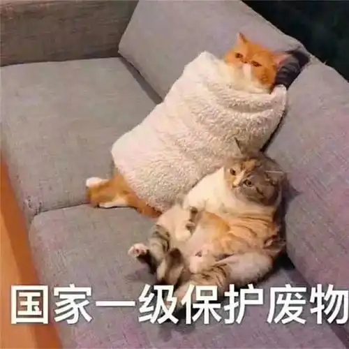 盘一盘家庭主妇一天到底要做多少家务