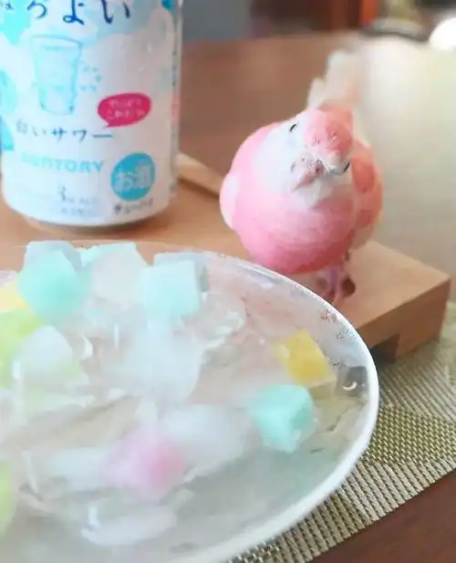 桃桃鸟鸟傻傻分不清楚,粉色代表老夫的少女心