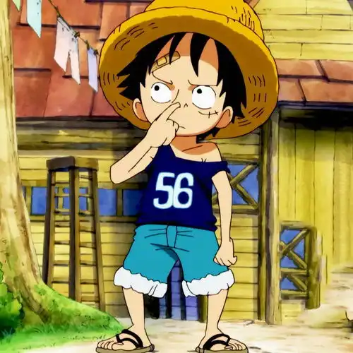 有没有什么海贼王头像你用了好久