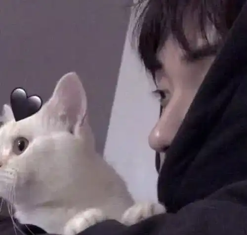 00后最爱的情侣头像我痴迷于温柔,是因为你对我温柔