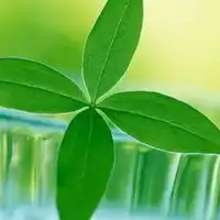 小清新头像风景系景一