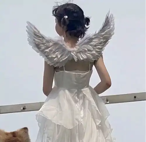 纯净物语情头超仙