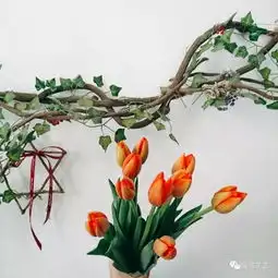 宁可食无肉不可居无花