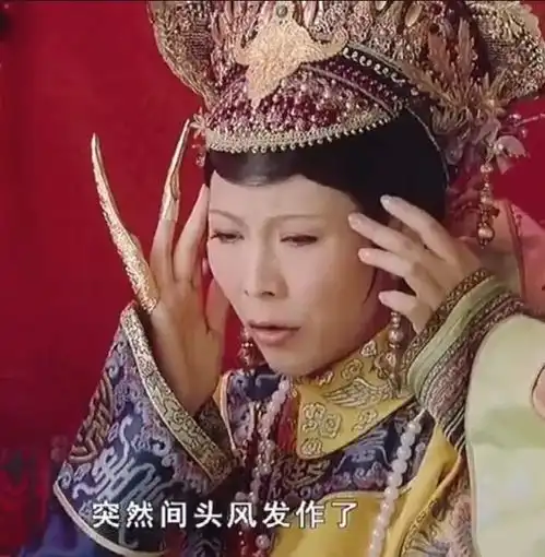 为什么甄嬛传什么梗都能接