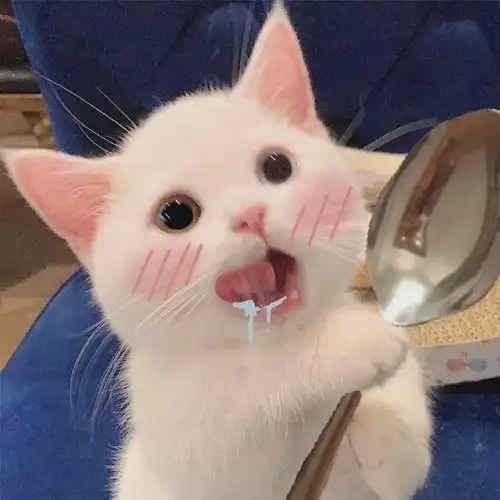 头像壁纸图让我看看谁没换