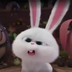 爱宠大机密丽颖微博头像小兔子各种照,这些剧情记得真爱粉么