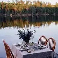 jusen美学一场自然系餐桌阳光错落挥洒树叶起舞缤纷