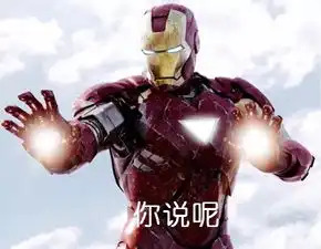 钢铁侠哼,谁还不skr小公主了
