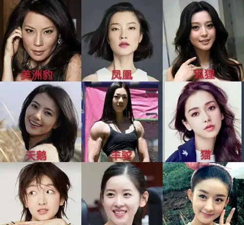 猫系女孩的头像真人暖春