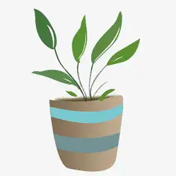 绿色的清新小盆栽图片素材其他格式下载动漫人物大全