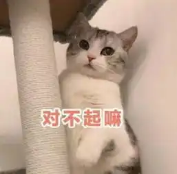 可爱猫系表情包,一起看猫片