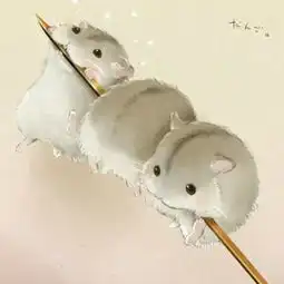 柠檬萌物耗子的美拍