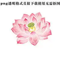 水彩盛开荷花粉色有莲蓬png透明格式图片素材模板下载0.49mb其他大全生活工作