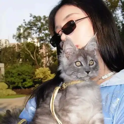 盐系头像欧美头像