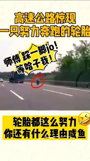 高速公路,轮胎追着车跑,这是什么操作